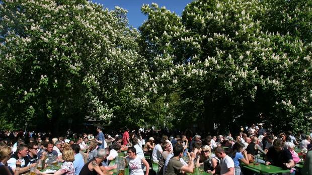 200-jahre-biergarten---lebensfreude-unter-kastanien-image_620x349