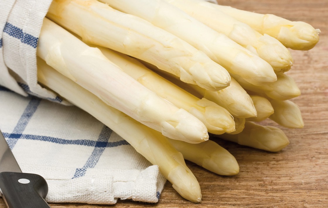 spargel-1120x710